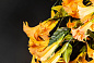 CHIARA VASE WITH DATURA Цветочная композиция со стеклянной вазой VGnewtrend — фото 4