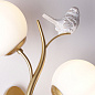 A9712AP-2SG Arte Lamp Camomilla бра E14 2х40W — фото 2