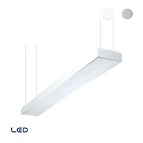 PANEL -55x30cm 21W-4000K-230V-white