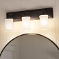 Vetivene 3 Light Vanity Light Textured Black настенный светильник 55131BKT Kichler — фото 2