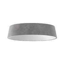 Wastberg Focal R