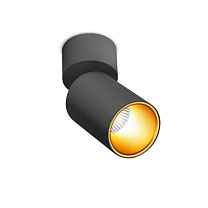 Потолочные светодиодные светильники Led technology SPY N 10.30 W черный + золотой