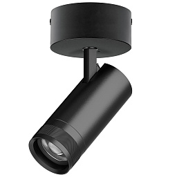 Накладной светильник Canno Pro C4207SO Lightstar