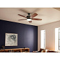 56" Crescent 5 Blade LED Indoor Ceiling Fan Olde Bronze люстра-вентилятор 300325OZ Kichler — фото 3