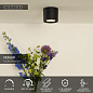 09921/12/30 Lucide Fedler потолочный светильник цилиндрической формы чёрного цвета — фото 1