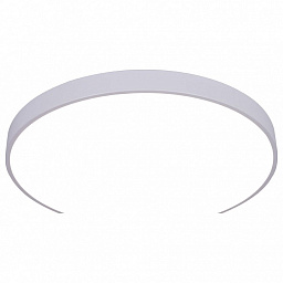 A2671PL-1WH Arte Lamp Arena потолочный светильник кольцевой формы белый с матовым рассеивателем