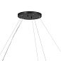Rosalind 50" 10 Light Chandelier Black люстра 52491BK Kichler — фото 9