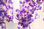 FLOWER POWER VANDA SQUARE Светодиодный потолочный светильник из муранского стекла VGnewtrend — фото 3