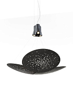 подвесной светильник с декоративным плафоном черного цвета