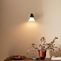 Настенный светильник Anglepoise Type 80 33295 — фото 2