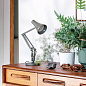 Настольная лампа Anglepoise 90 Mini Mini Зеленый 33136 — фото 3