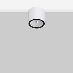 SB1 Flexa lighting Sasabune Светодиодный потолочный светильник