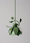 Подвесной светильник Botanica Porta Romana MCL110 — фото 6