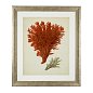 Набор принтов Antique Red Corals (6 шт.) Eichholtz 111741 — фото 2