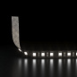 Светодиодная лента Elektrostandard a063874 — фото 1