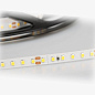 015696 светодиодная лента ARLIGHT RT 2-5000 24V White 6000 2x, 2835, 600 LED, PRO