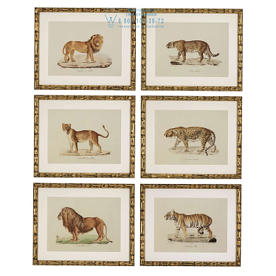 111745 Prints EC262 Lion, Tigre, Jaguar set of 6  Eichholtz