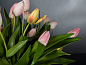ETERNITY MIX ALFEO Искусственное растение VGnewtrend — фото 3