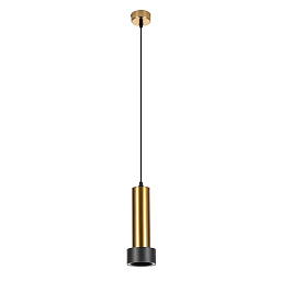 A3147SP-1PB Arte Lamp Ran точечный подвесной светильник