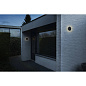 1007911 SLV D-RING S WL PHASE 2700/3000K black настенный светильник — фото 6