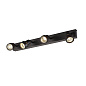 1002029 SLV PURI IV QPAR51 CW black трековый светильник — фото 2