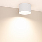054917 Arlight Светильник SP-BISCOTTO-R140-15W Warm3300-MIX (WH, 80 deg, 230V) — фото 2