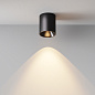 C064CL-12W3K-RD-B Maytoni Alfa LED Потолочный светильник 12W 1210лм Черный — фото 8