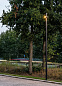 POLESANO 6M - 4 ANCHORED Pole Delta Light — фото 12