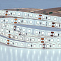 A2412008-06-6K Arte Lamp Aqua tape светодиодная лента 24V 9,6W/m 6000К 5м — фото 2
