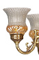 Lustrous 3 Light Mini Antique Brass Chandelier люстра FOS Lighting No1-UshaLuster-CH3
