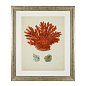 Набор принтов Antique Red Corals (6 шт.) Eichholtz 111741 — фото 3