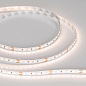 024507(2) Arlight Лента MICROLED-M240-8mm 24V White-CDW (9.6 W/m, IP20, 2216, 5m) — фото 1