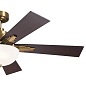 52" Vinea 5 Blade LED Indoor Ceiling Fan Brushed Natural Brass люстра-вентилятор 300345BNB Kichler — фото 11