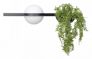 настенное бра с кашпо для растений и встроенной подсветкой