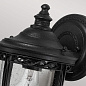 Настенный уличный светильник English Bridle Feiss FE-EB2-S-BLK черный — фото 3
