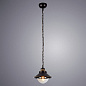A4577SP-1CK Arte Lamp Grazioso подвесной светильник E27 1х60W 800Lm — фото 1