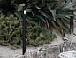 Уличный светильник-столбик Lombardo Ago Bollard H900 2L — фото 5