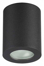 3572/1C Odeon Light Aquana потолочный светильник с матовым корпусом черный IP44