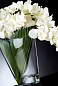 ETERNITY VANDA CASCADES Искусственное растение VGnewtrend — фото 1