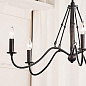 Freesia 5 Light Chandelier Textured Black люстра 52455BKT Kichler