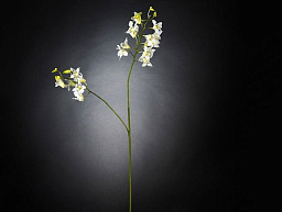 1001663.95 VGnewtrend Dendrobium Полиэстер Искусственное растение