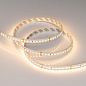 038781 Arlight Лента RT-A144-10mm 24V Warm2700 (7.7 W/m, IP20, 2835, 5m) — фото 2