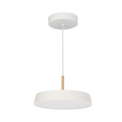 033914(1) Arlight Светильник SP-ELEGANT-R300-17W Warm3000 (WH, 120 deg, 230V)