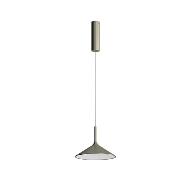 1DYH100065FL0 Dry Rotaliana подвесной светильник