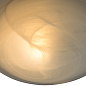 A3430AP-1CC Arte Lamp Luna потолочный светильник E27 1х60W 800Lm — фото 2