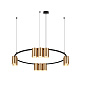 Люстра Denkirs Orbit DK4065-BK+SG — фото 2