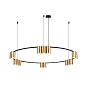Люстра Denkirs Orbit DK4067-BK+SG — фото 1
