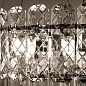 A1051SP-10CC Arte Lamp Nicoletta подвесная люстра E14 10х40W — фото 3