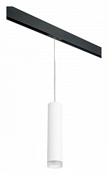 PRORP49630 Lightstar Rullo подвесной трековый светильник с деревянным акцентом и лампой открытого типа для однофазного шинопровода