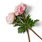 Искусственное растение Peonies Eichholtz 119278 — фото 3